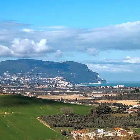 Mar Del Plata Porto Recanati